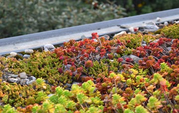 the cost of Brockencote green roof installation