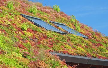 Brockencote living roof systems